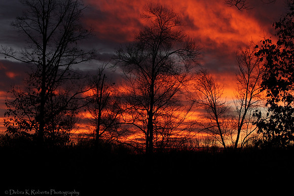 Sunrise