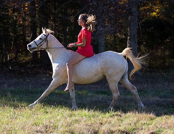 A Girl and Her Horse-0491