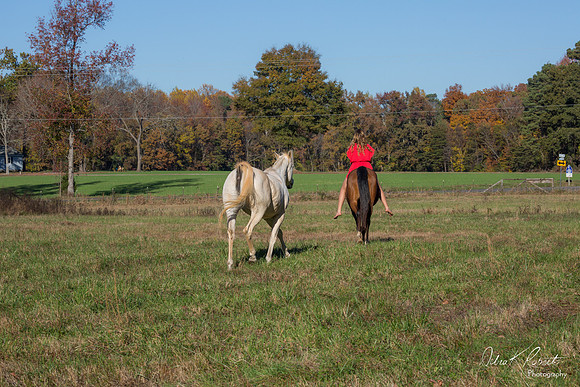 A Girl and Her Horse-0579