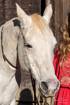 A Girl and Her Horse-0695