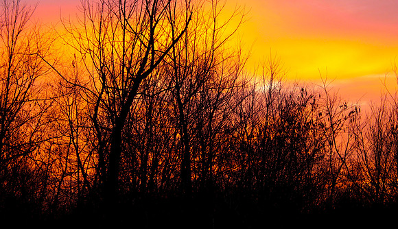 Sunrise