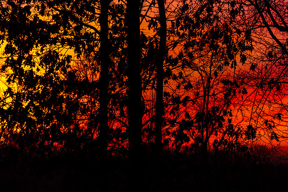 Sunrise