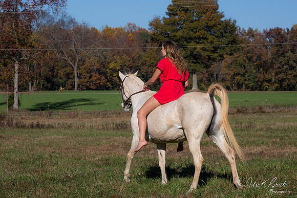 A Girl and Her Horse-0478
