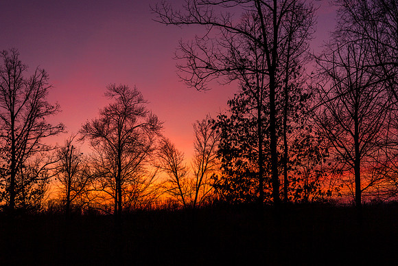 Sunrise