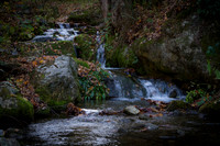 Fine Art, Special Order and Limited Editions