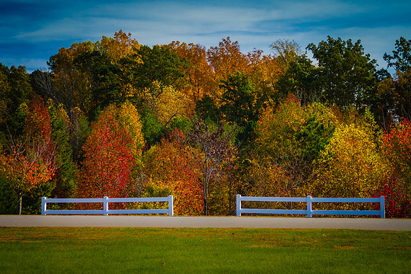 "Gated Color"
