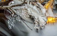 Fine Art, Special Order and Limited Editions