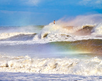 Fine Art, Special Order and Limited Editions