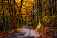 "The Golden Road"