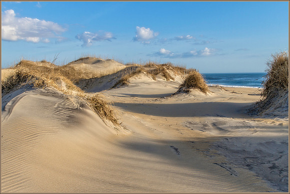 Early Morning Dunes 4798-32_16x24