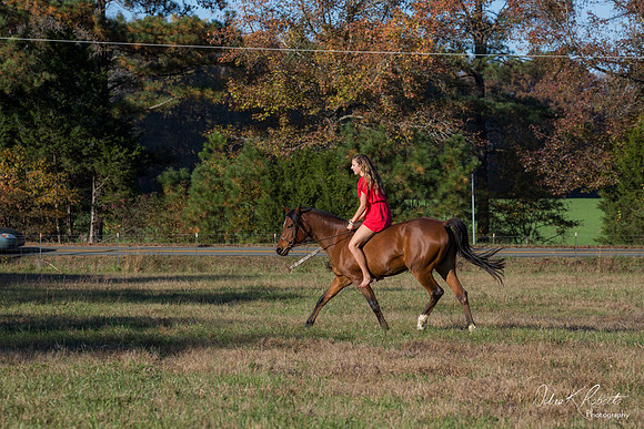 A Girl and Her Horse-0652