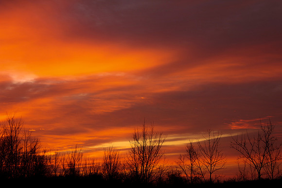 Sunrise