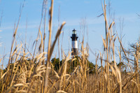 Bodie Light thru the Reeds