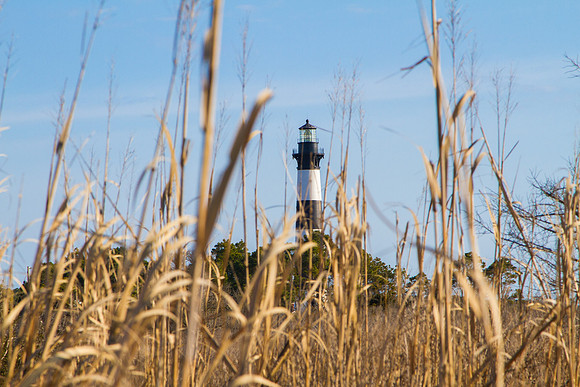 Bodie Light thru the Reeds