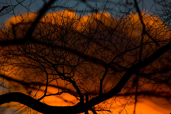 Sunrise