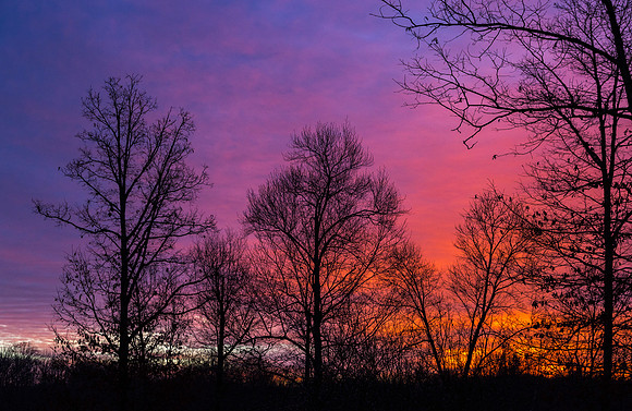 Sunrise
