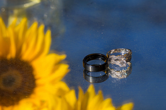 Johna & Peter rings lg-9671