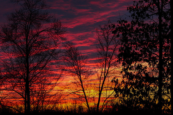 Sunrise