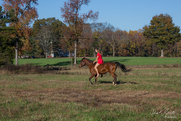 A Girl and Her Horse-0628