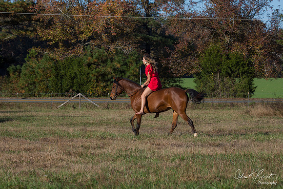 A Girl and Her Horse-0632