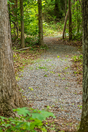 _MG_0704