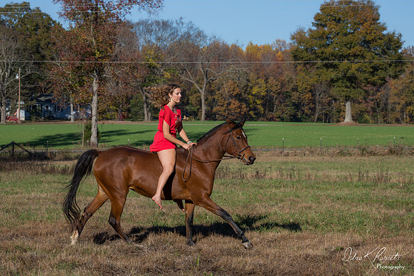 A Girl and Her Horse-0639