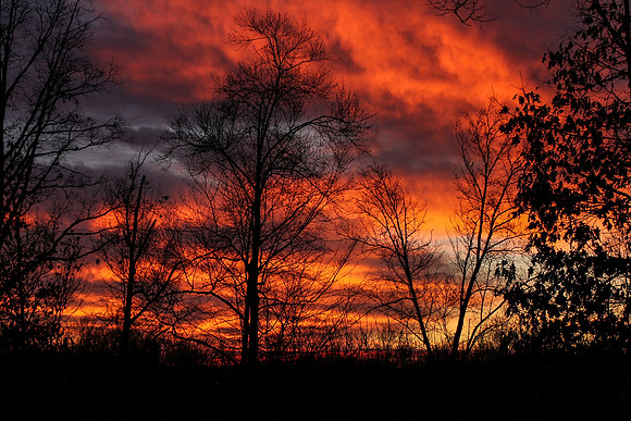 Sunrise