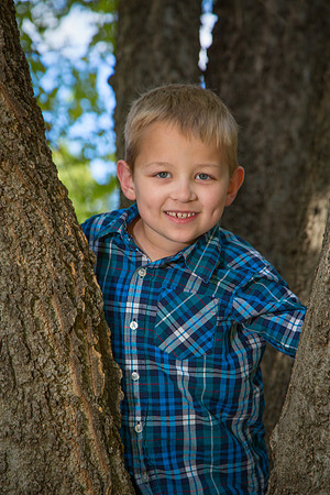 Grayson-7715