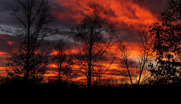 Sunrise