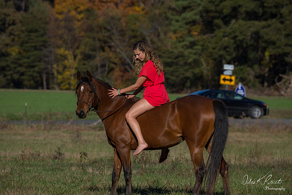 A Girl and Her Horse-0614