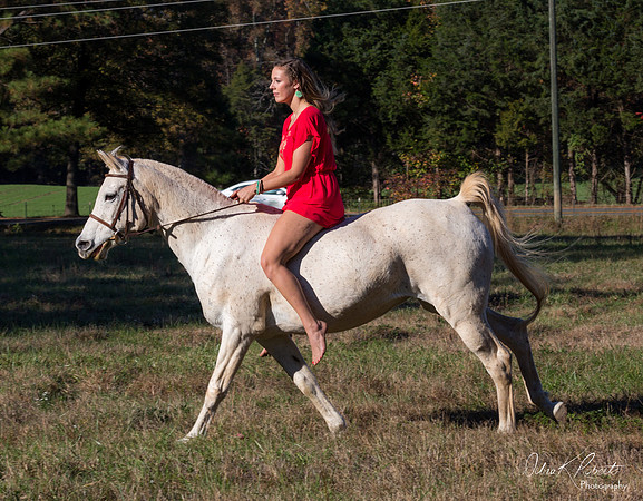 A Girl and Her Horse-0484