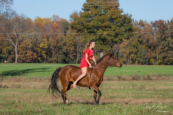 A Girl and Her Horse-0589