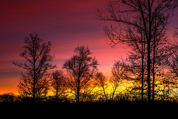 Sunrise