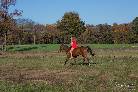 A Girl and Her Horse-0627