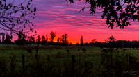 Scattered About Sunrise
