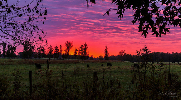Scattered About Sunrise