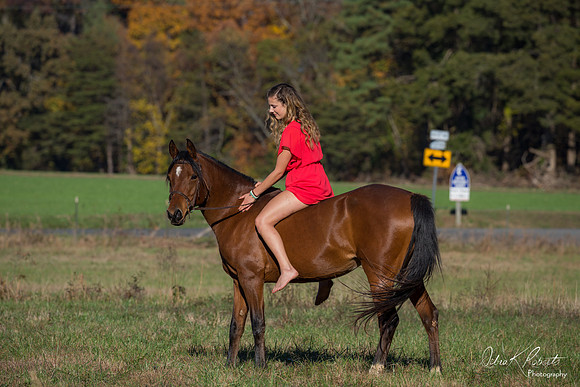 A Girl and Her Horse-0613