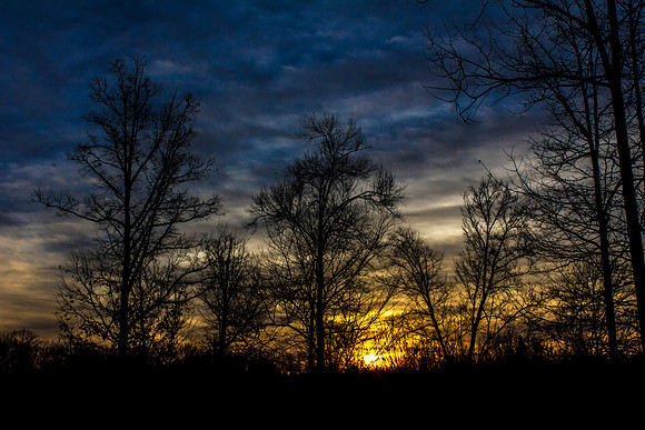 Sunrise