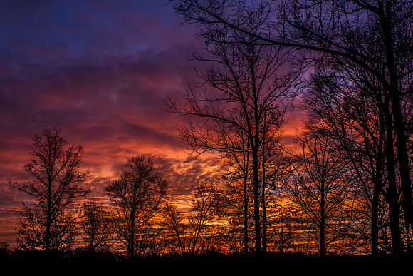 Sunrise