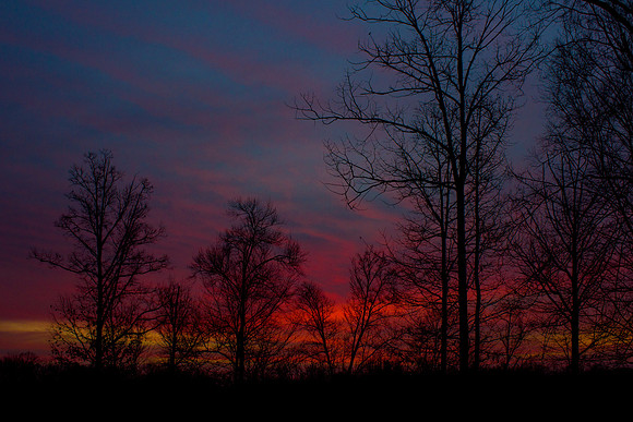 Sunrise