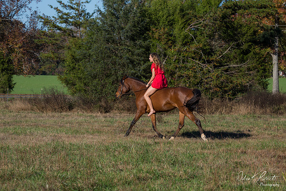 A Girl and Her Horse-0630