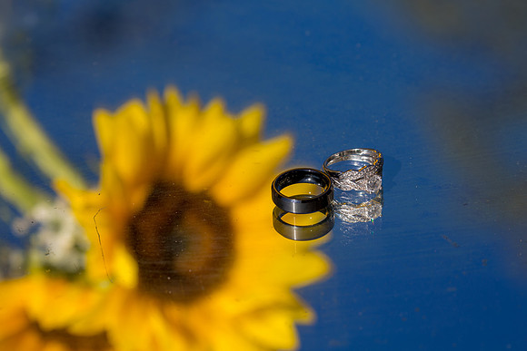 Johna & Peter rings lg-9626