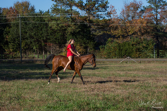 A Girl and Her Horse-0636