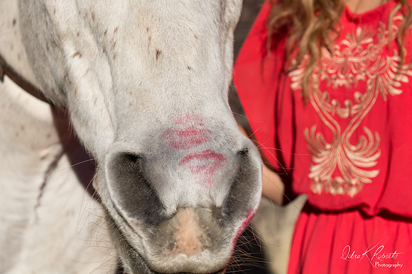 A Girl and Her Horse-0691