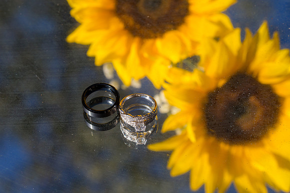 Johna & Peter rings lg-9682