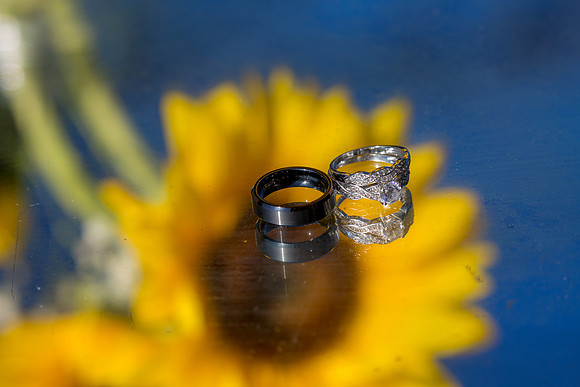 Johna & Peter rings lg-9624