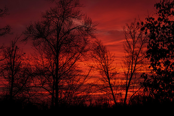 Sunrise