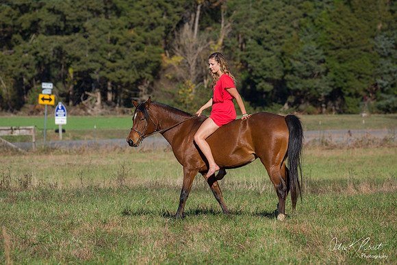 A Girl and Her Horse-0599