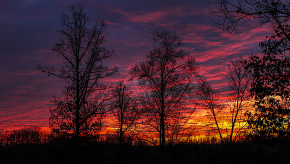 Sunrise