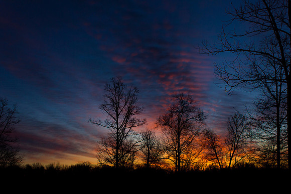 Sunrise